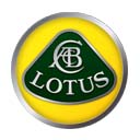 lotus Repair Manual Instant Download